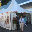 IMG_1503_JPG-1378645978
