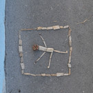 DSC_4577_JPG-1378662330