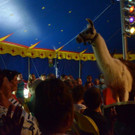 DSC_6573_jpg-1378668412