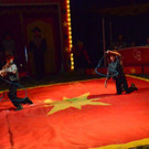DSC_6650_jpg-1378668433