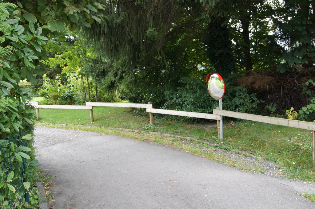 spiegel Forststr__JPG-1378710179