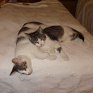 DSC02386.JPG