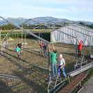 Zelt im Maisfeld_jpg-1378717572