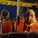 DSC_6445_jpg-1378719769