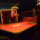 DSC_6559_jpg-1378719816