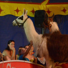 DSC_6571_jpg-1378719821