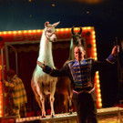 DSC_6578_jpg-1378719824