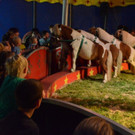 DSC_6614_jpg-1378719840