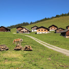 KOE_Seniorenbund Alpe Gamp 3_jpg-1378725736
