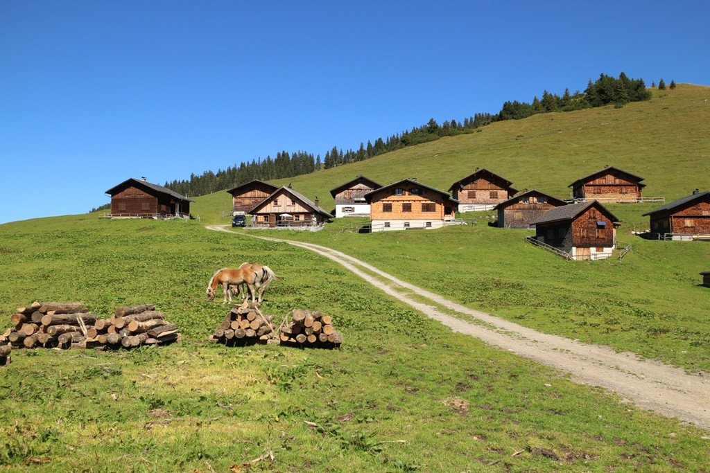 KOE_Seniorenbund Alpe Gamp 3_jpg-1378725736