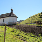 KOE_Seniorenbund Alpe Gamp 5_jpg-1378725750
