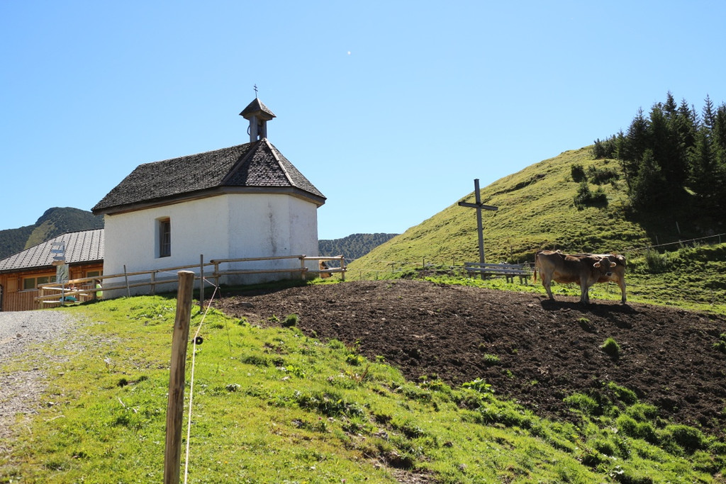 KOE_Seniorenbund Alpe Gamp 5_jpg-1378725750