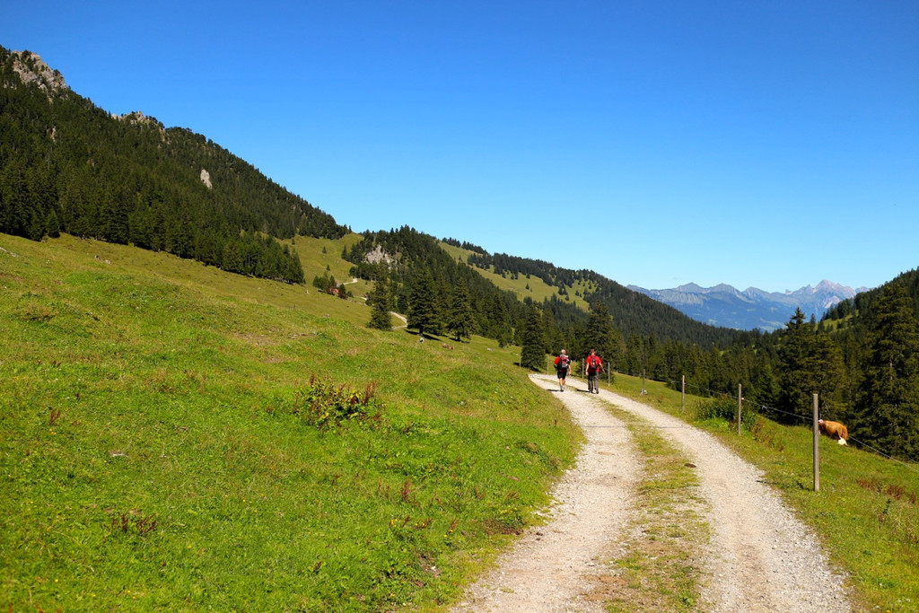 KOE_Seniorenbund Alpe Gamp 13_jpg-1378725804