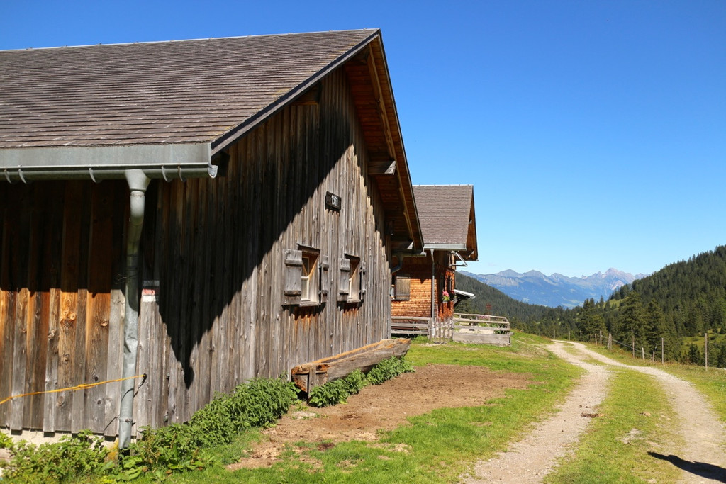 KOE_Seniorenbund Alpe Gamp 15_jpg-1378725816