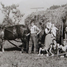 1938 Heuernte   - Kopie.JPG