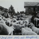1948- Josef bei der Hueter-H__tte_.JPG