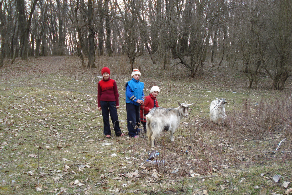 DSC00440.JPG