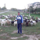 Ziegenherde in Cretoaia mit Boris Oktober 2012.JPG