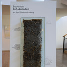 DSC_3198_jpg-1378745418