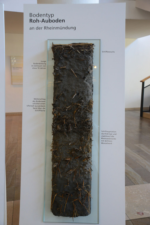 DSC_3198_jpg-1378745418