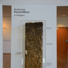 DSC_3199_jpg-1378745439