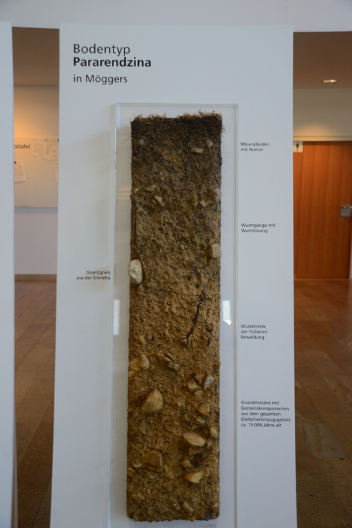 DSC_3199_jpg-1378745439