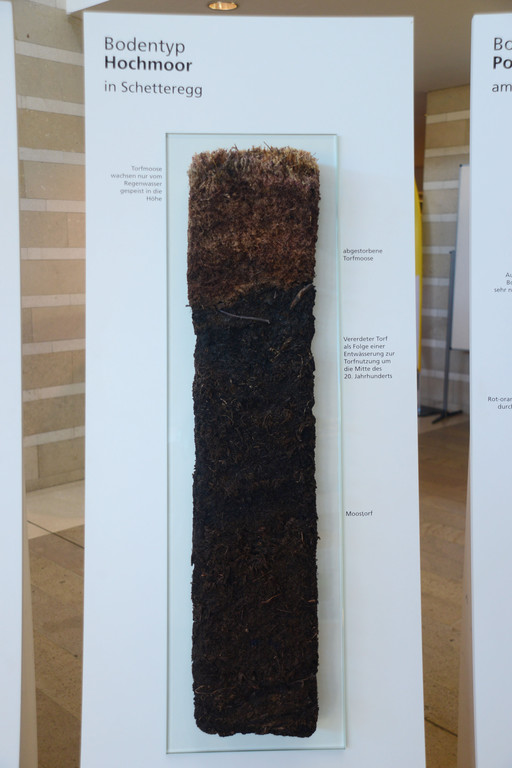 DSC_3200_jpg-1378745458