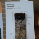 DSC_3201_jpg-1378745478