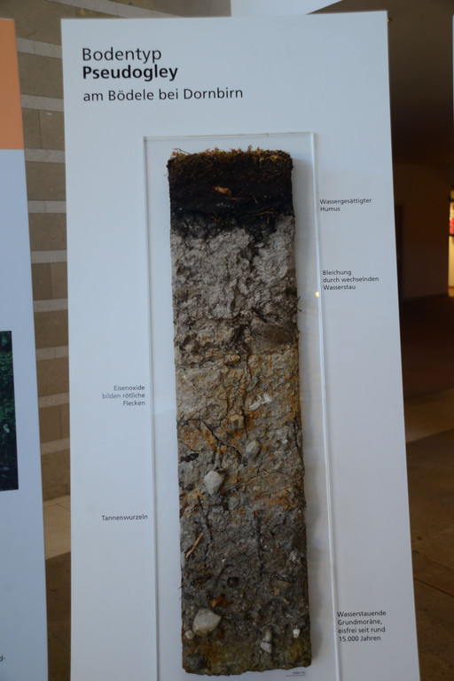 DSC_3201_jpg-1378745478