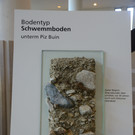 DSC_3202_jpg-1378745494