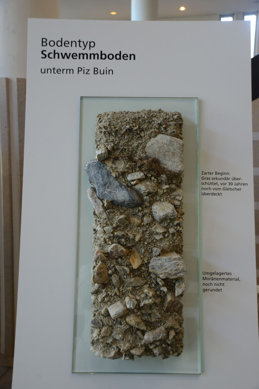 DSC_3202_jpg-1378745494