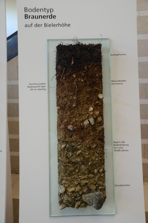 DSC_3203_jpg-1378745516