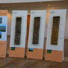 DSC_3204_jpg-1378745542