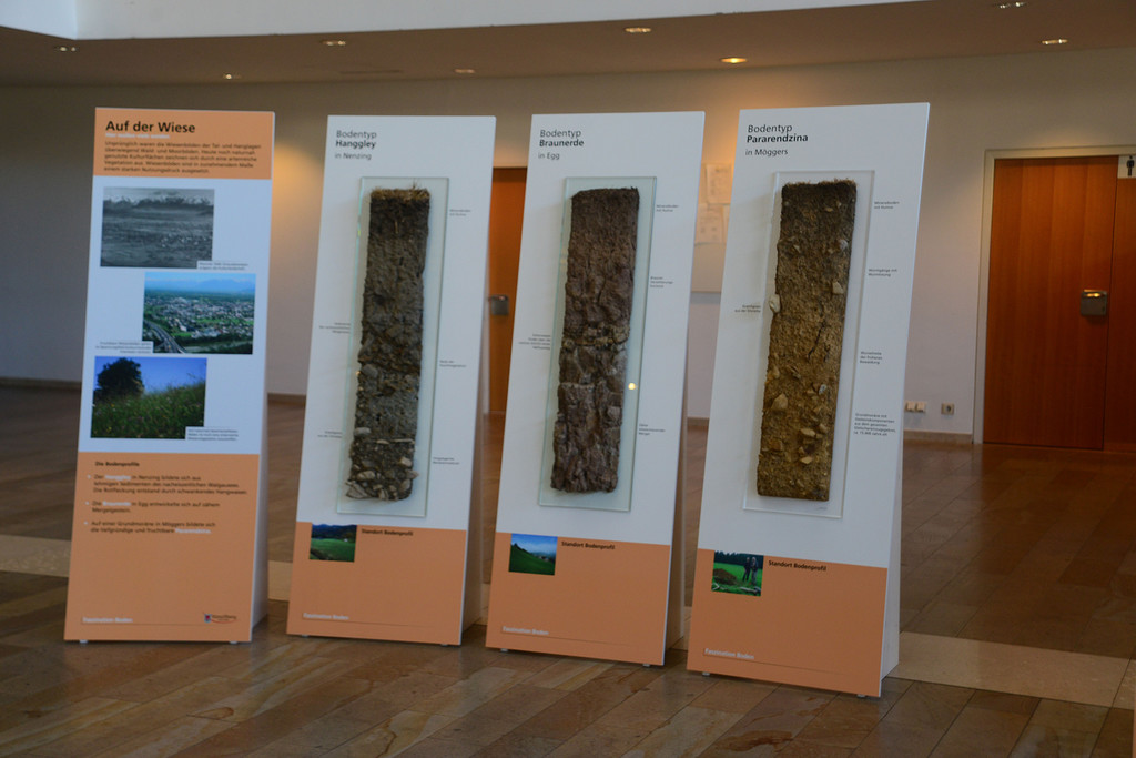 DSC_3204_jpg-1378745542