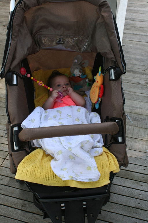 IMG_1370_JPG-1378793987