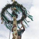 Maibaumkraxler _HKR8988.jpg