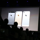IBD1174-20130910.jpg