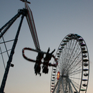 IMG_3306.JPG