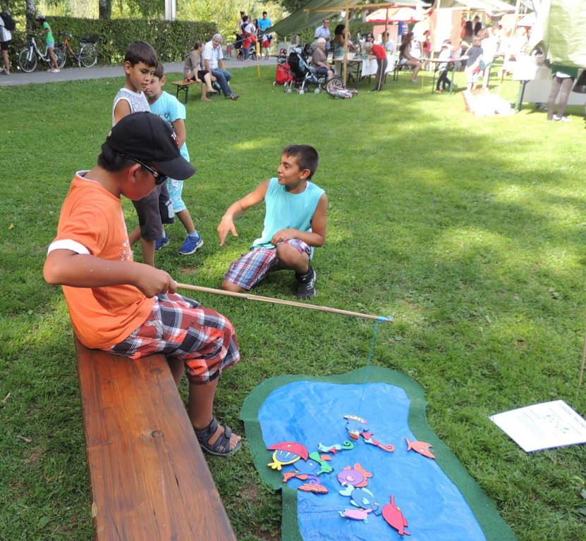 DSCN3813_JPG-1378935642