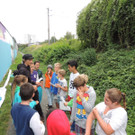 DSCN2043_JPG-1378937318