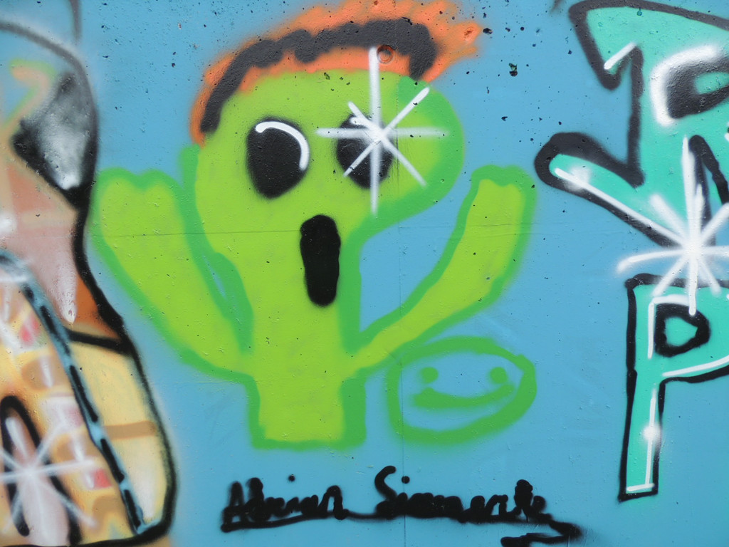 DSCN2155_JPG-1378937399