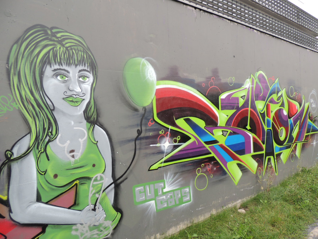 DSCN2040_JPG-1378937721