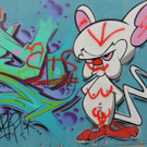 DSCN2055_JPG-1378937740