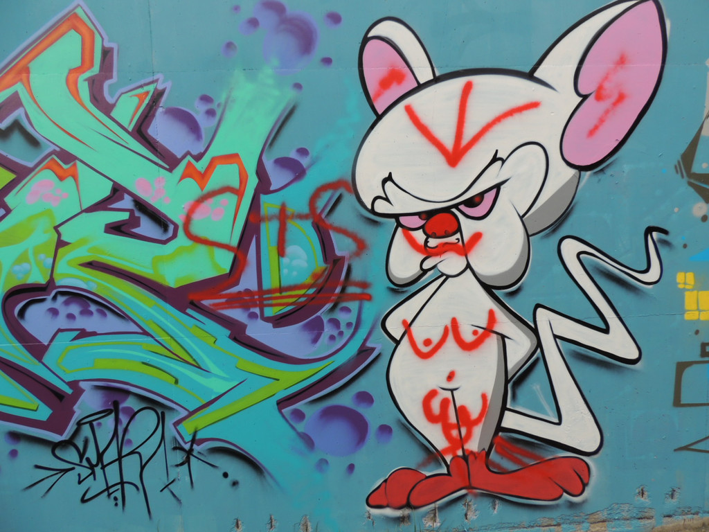 DSCN2055_JPG-1378937740