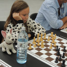 DSCN3981_JPG-1378939619