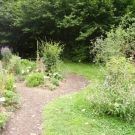 PICT2240.JPG