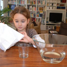 02 Zerkn__lle ein Papiertaschentuch_JPG-1378976091