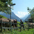 P1060023.JPG