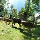 P1060031.JPG