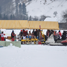 DSC_0142.jpg